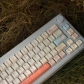 Early Autumn Evening Breeze 104+37 PBT Dye-subbed Keycaps Set for Cherry MX Mechanical Gaming Keyboard